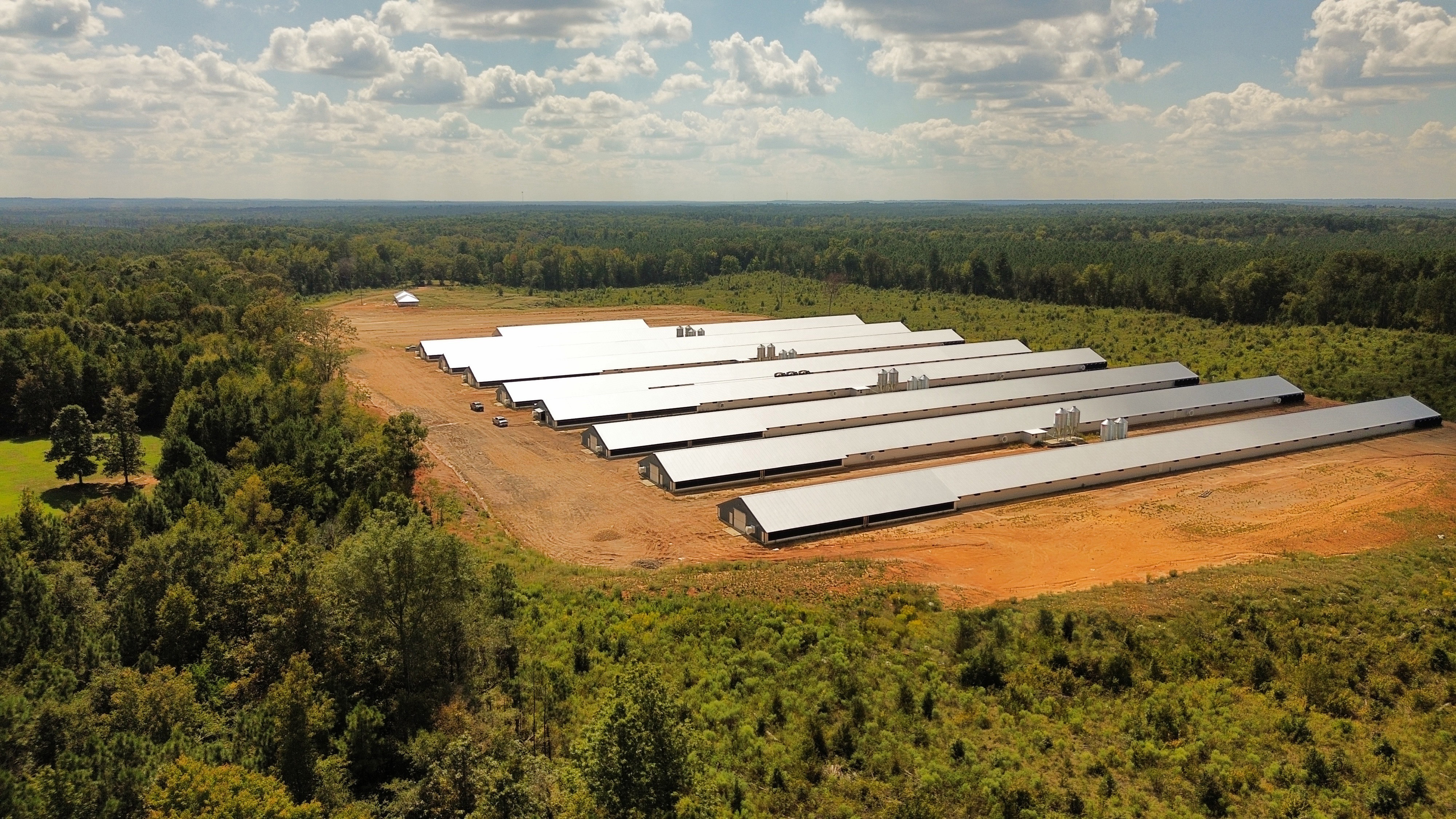 Poultry Loans