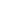 Play Video Icon